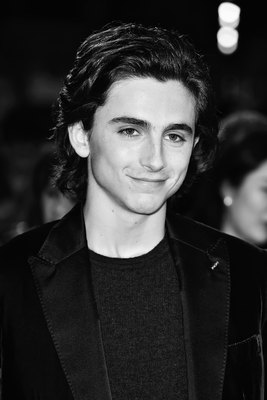 Timothee Chalamet poster