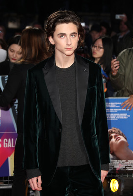 Timothee Chalamet poster
