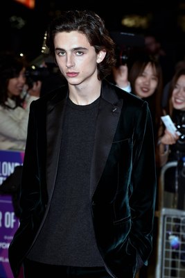 Timothee Chalamet poster