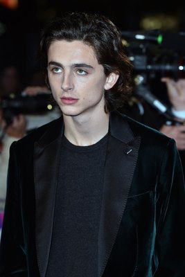 Timothee Chalamet poster