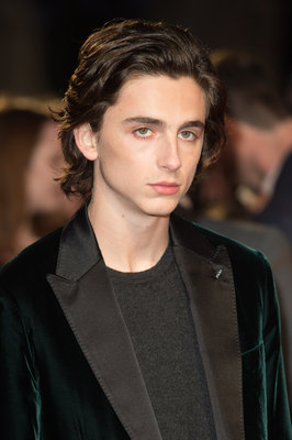Timothee Chalamet poster