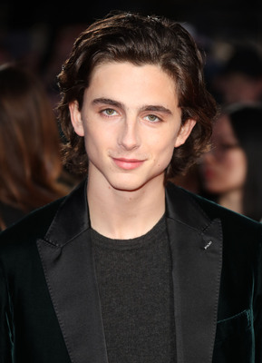 Timothee Chalamet poster