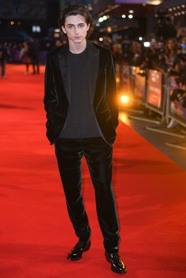 Timothee Chalamet poster