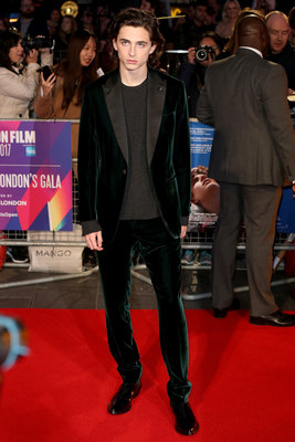 Timothee Chalamet poster