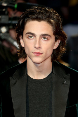 Timothee Chalamet poster