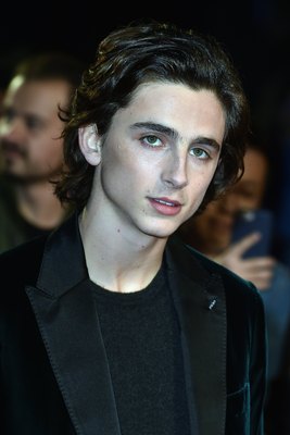 Timothee Chalamet poster