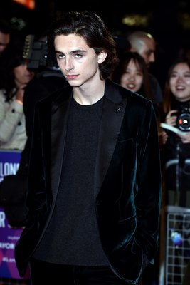 Timothee Chalamet poster