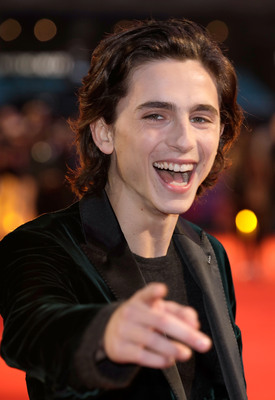 Timothee Chalamet poster