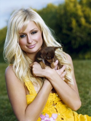 Paris Hilton poster
