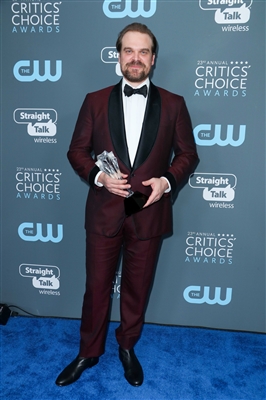 David Harbour sweatshirt