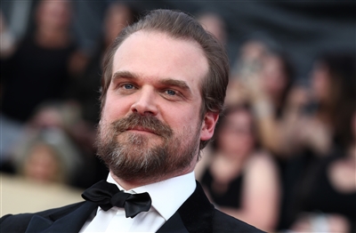 David Harbour sweatshirt