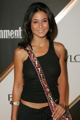 Emmanuelle Chriqui poster