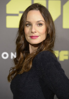 Sarah Wayne Callies poster