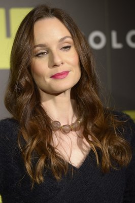 Sarah Wayne Callies poster