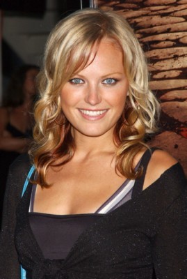 Malin Akerman poster