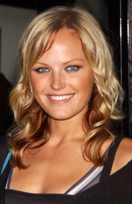 Malin Akerman poster
