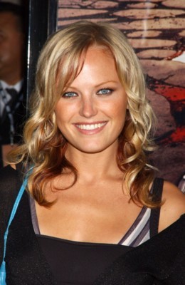 Malin Akerman poster