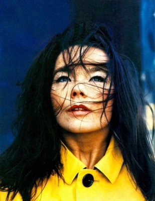 Bjork poster