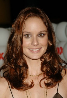 Sarah Wayne Callies poster
