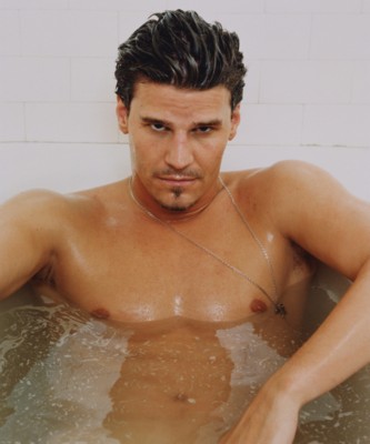 David Boreanaz poster