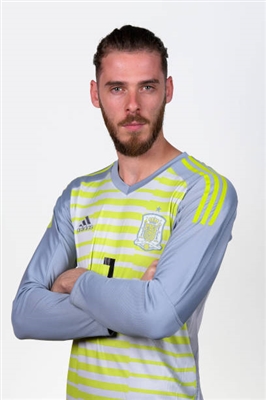 David De Gea poster