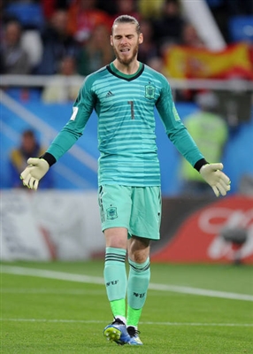 David De Gea poster