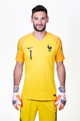 Hugo Lloris poster