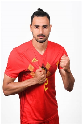 Nacer Chadli poster