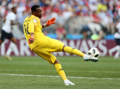 Steve Mandanda poster