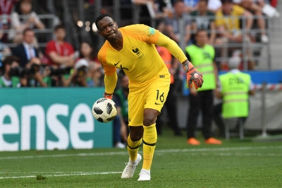 Steve Mandanda poster