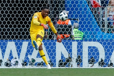 Steve Mandanda poster