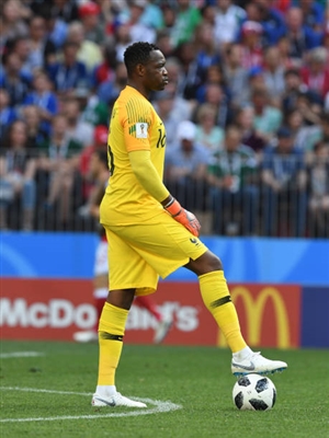 Steve Mandanda poster