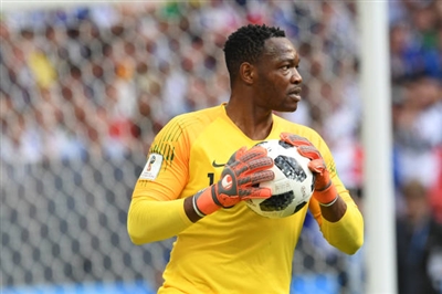 Steve Mandanda poster