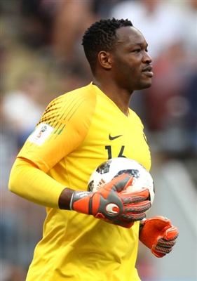 Steve Mandanda poster