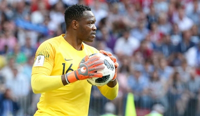 Steve Mandanda poster