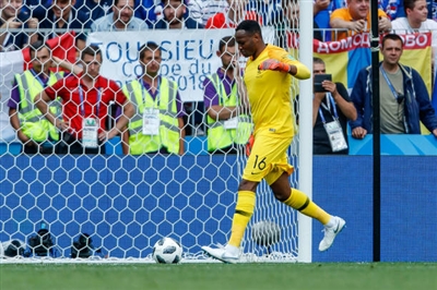 Steve Mandanda poster