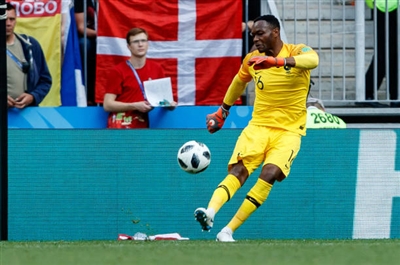 Steve Mandanda poster