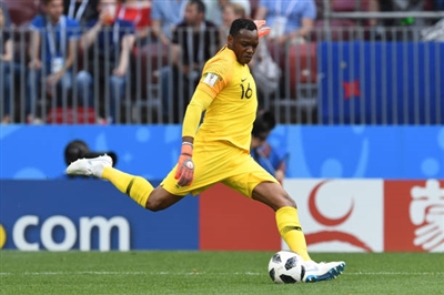 Steve Mandanda poster