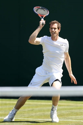Andy Murray poster