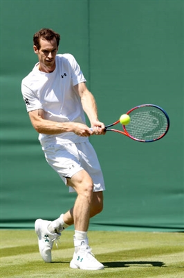 Andy Murray poster