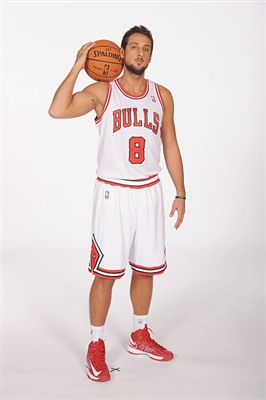 Marco Belinelli poster