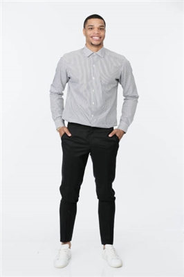 Miles Bridges poster