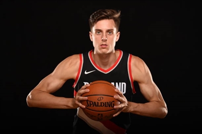 Zach Collins poster