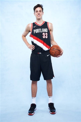 Zach Collins poster