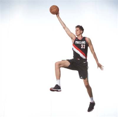 Zach Collins poster