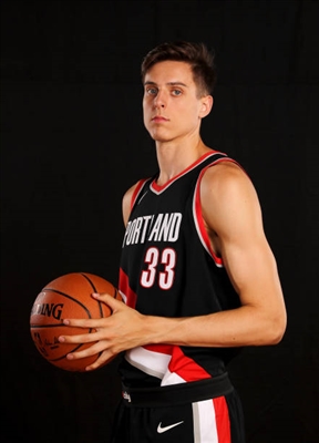Zach Collins poster
