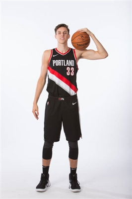 Zach Collins poster