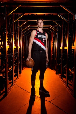 Zach Collins poster