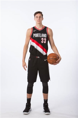 Zach Collins poster
