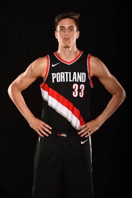 Zach Collins poster